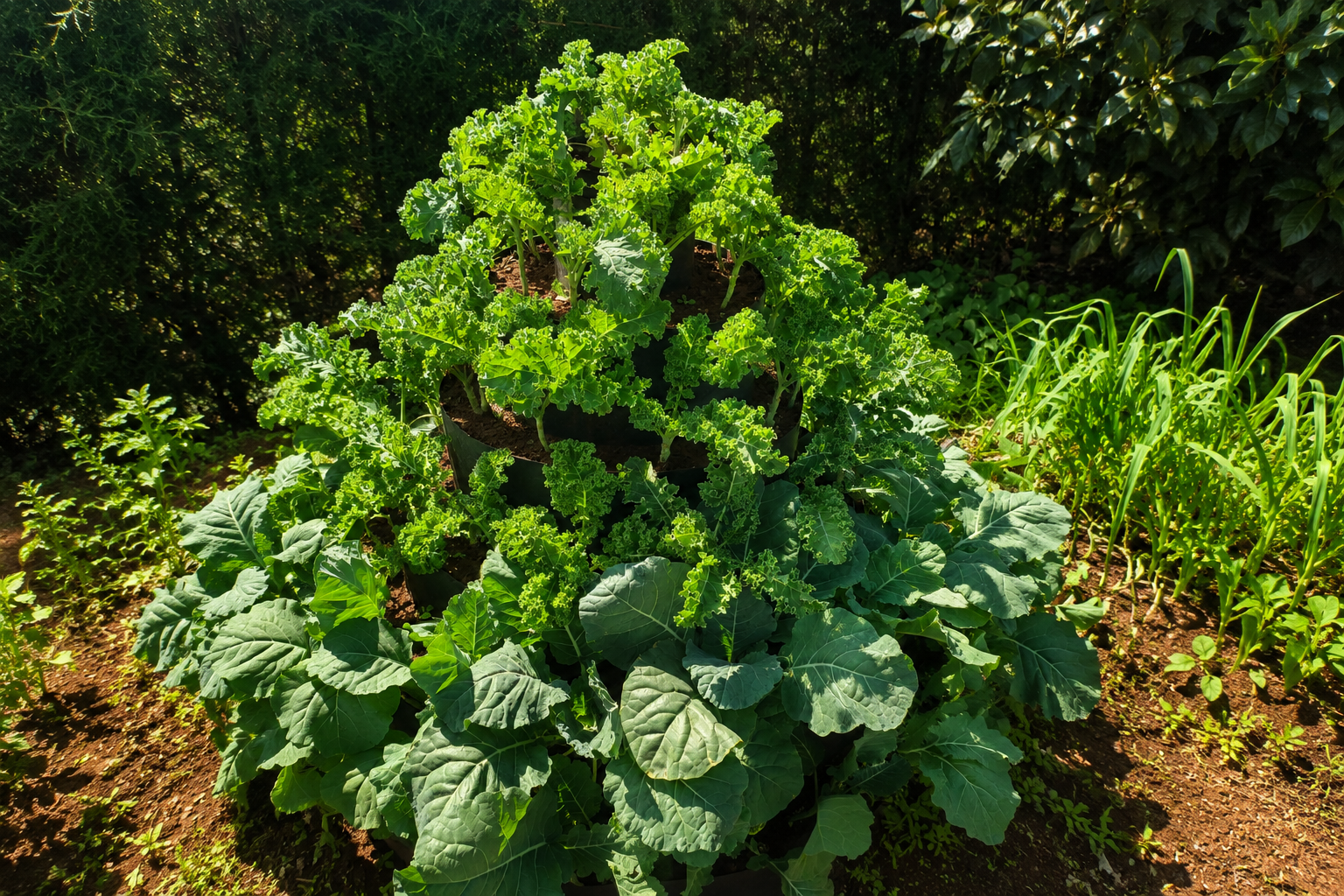 Multistorey garden